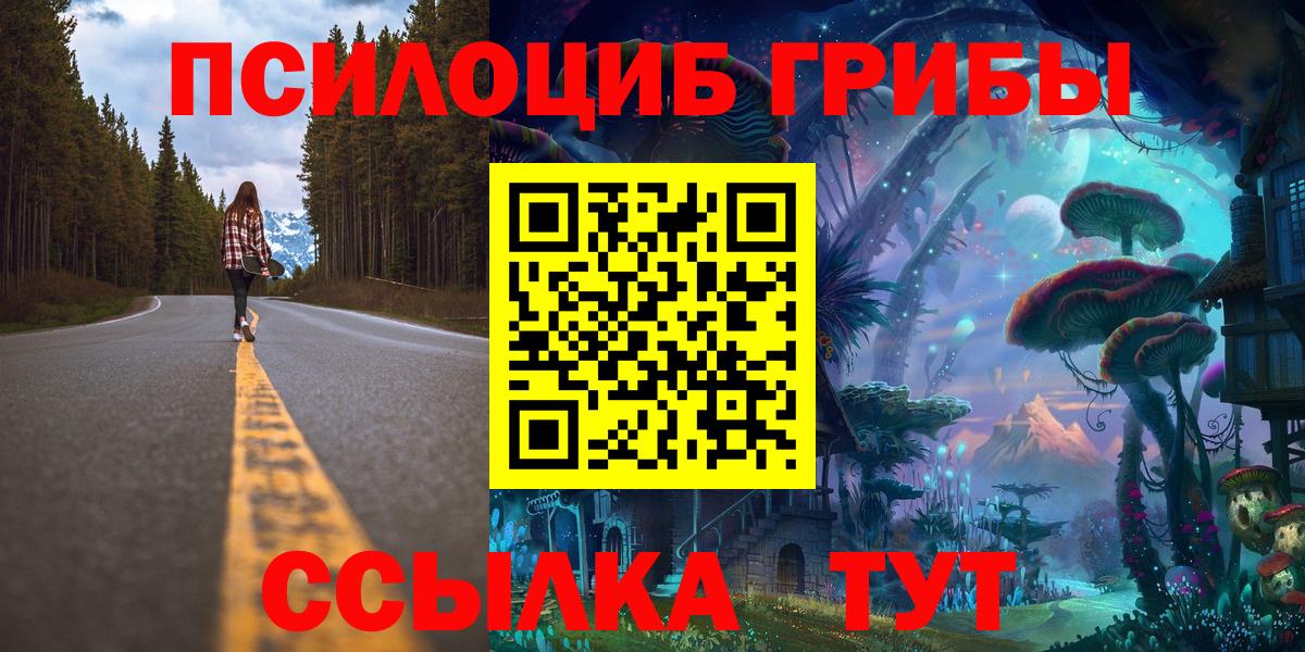 Галлюциногенные грибы мицелий  Вход с VPN  Строитель  Галлюциногенные грибы мицелий 
